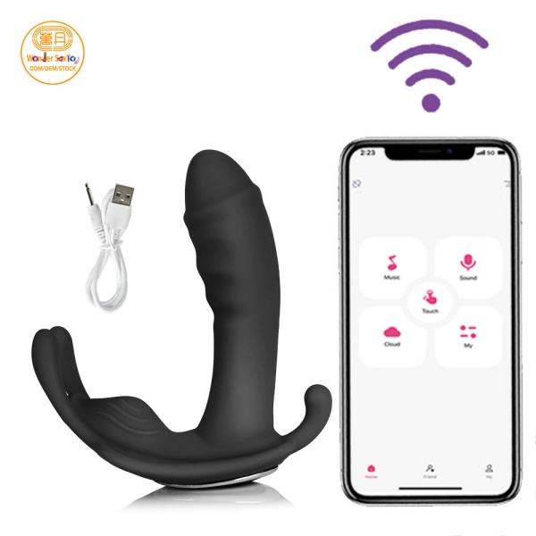 SKU-01 APP panty Vibrator USB Rechargeable logo 02